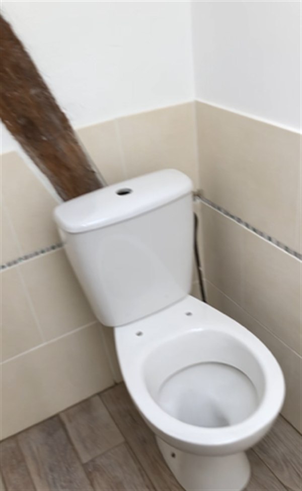 WC après rénovation